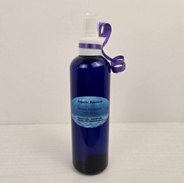 Angel Workshop Essence - Big