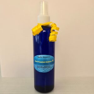 Angel Workshop Essence